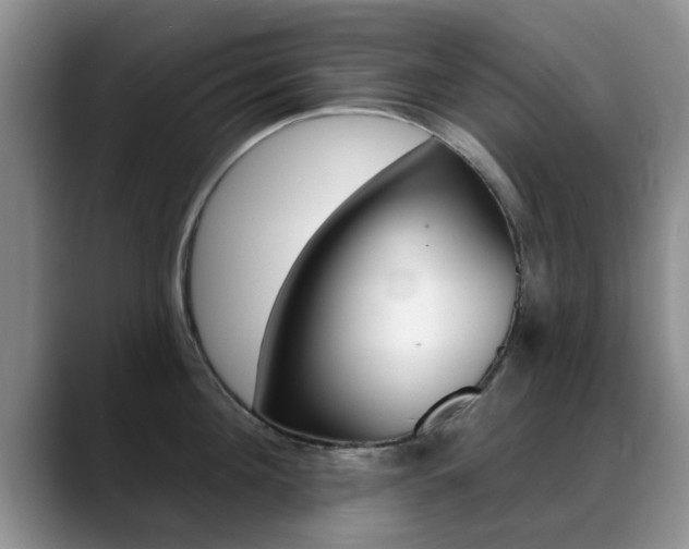 X0000089390908200706150929
