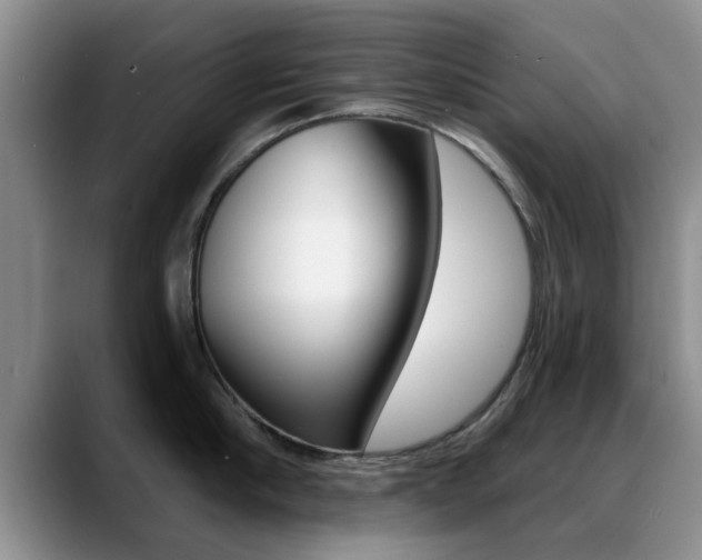 X0000089390910200706150929