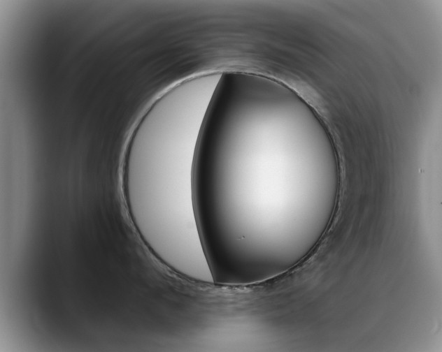 X0000089390912200706150929