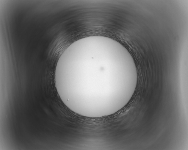 X0000089390916200706150928