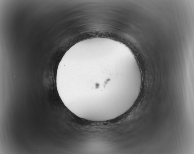 X0000089390918200706150928