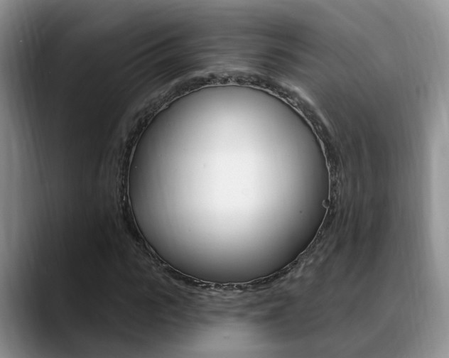 X0000089390919200706150928