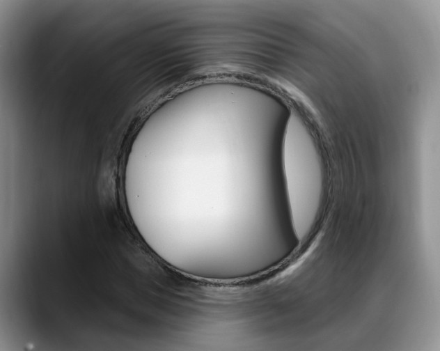 X0000089390921200706150928