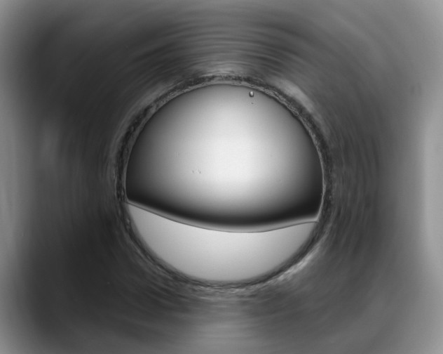 X0000089390922200706150928