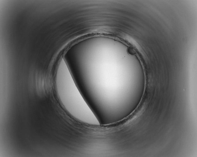 X0000089390923200706150928