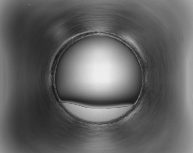 X0000089390924200706150928