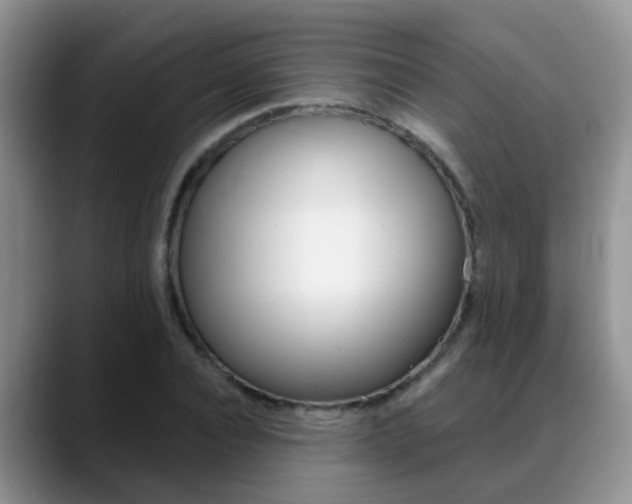 X0000089390928200706150928