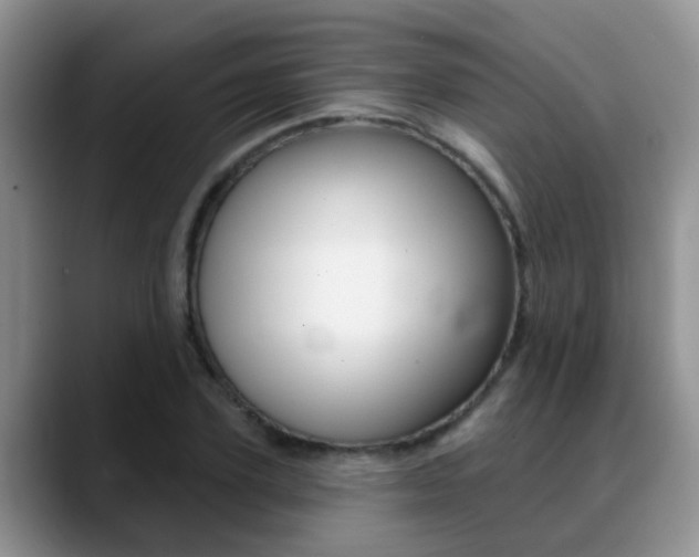 X0000089390931200706150928