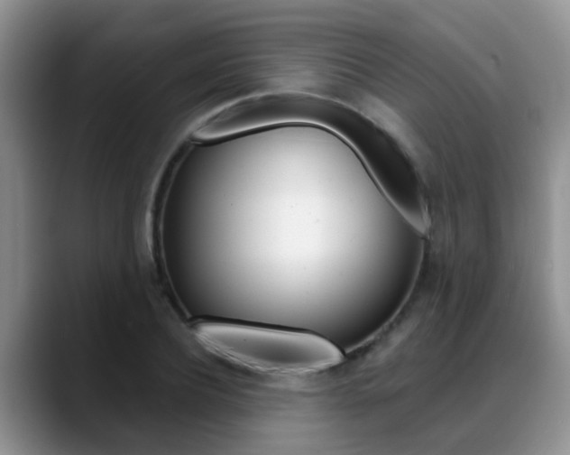 X0000089390932200706150928
