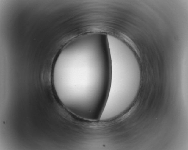 X0000089390938200706150928