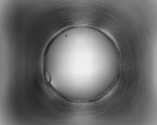 X0000089390941200706150928
