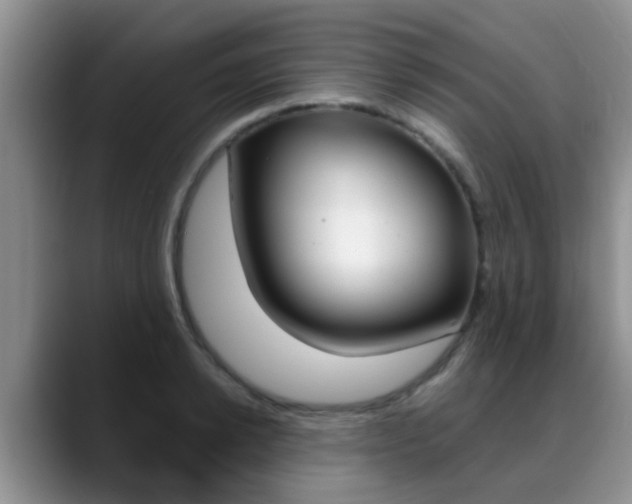 X0000089390942200706150928