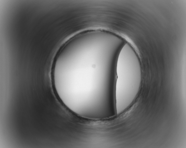 X0000089390943200706150928