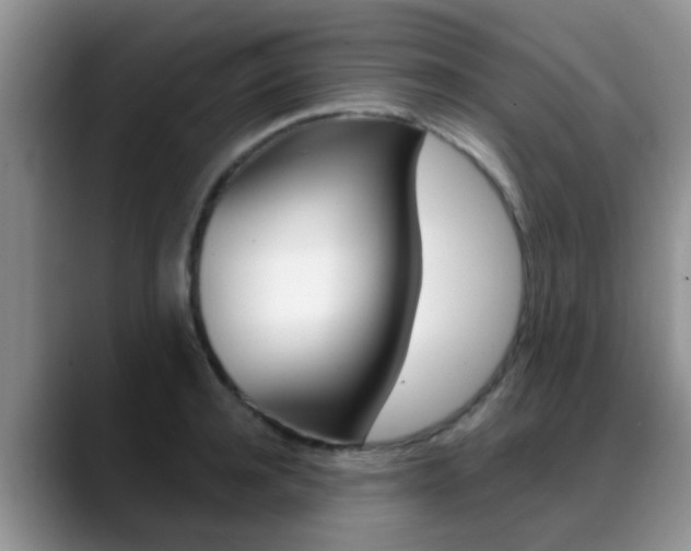 X0000089390944200706150928