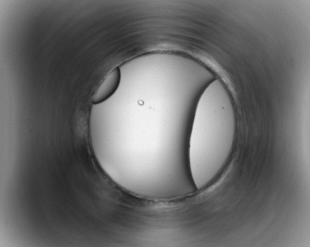 X0000089390945200706150928