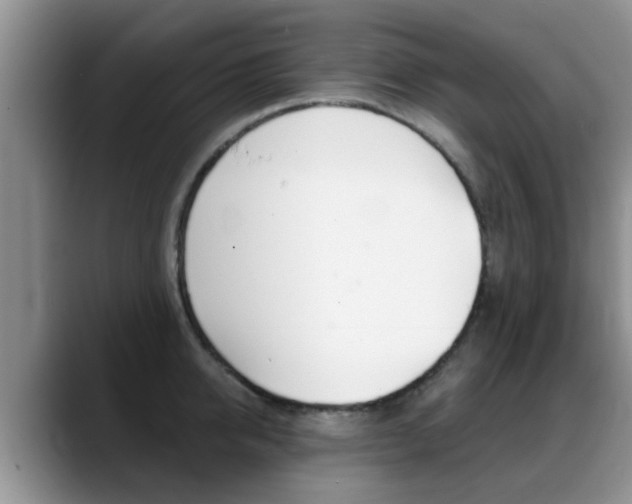 X0000089390950200706150928