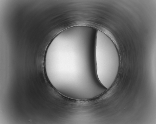 X0000089390954200706150928
