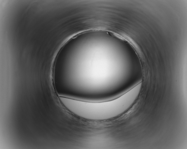 X0000089390956200706150929