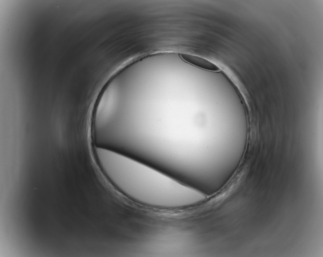X0000089390957200706150929