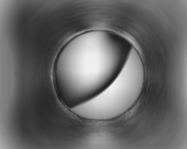 X0000089390958200706150929