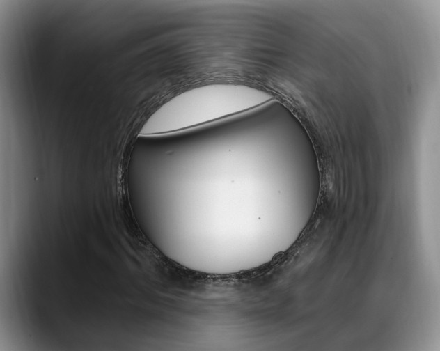 X0000089390964200706150928