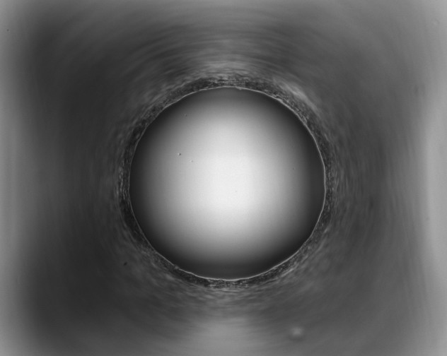 X0000089390965200706150928