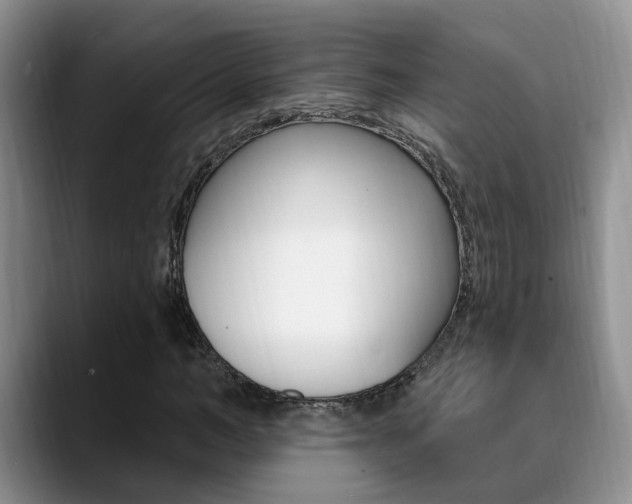 X0000089390966200706150928