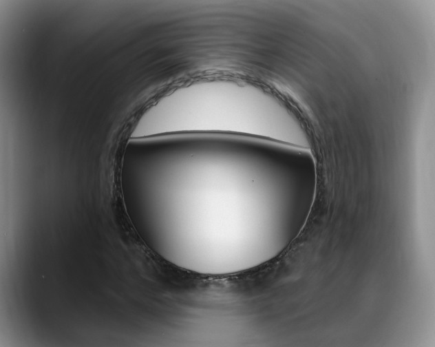 X0000089390968200706150928