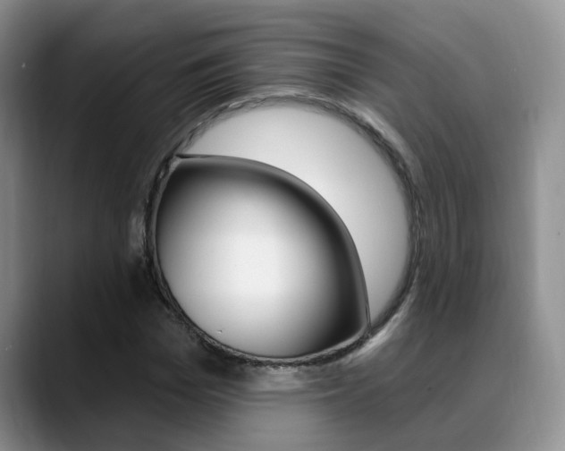 X0000089390969200706150928
