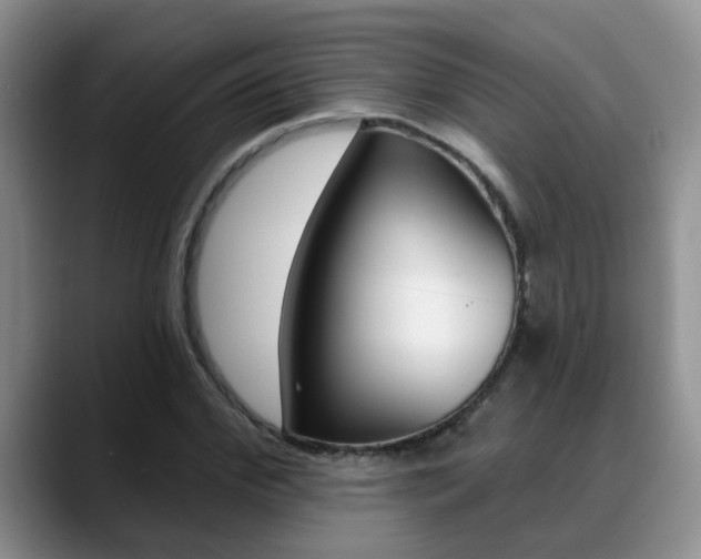 X0000089390972200706150928