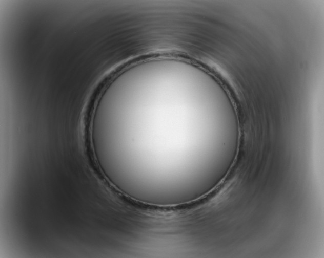 X0000089390975200706150928