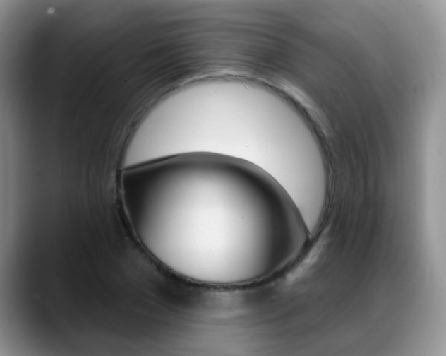 X0000089390977200706150928