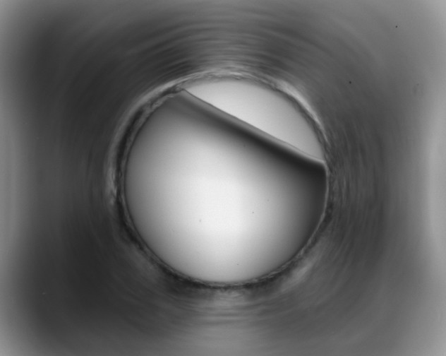 X0000089390979200706150928