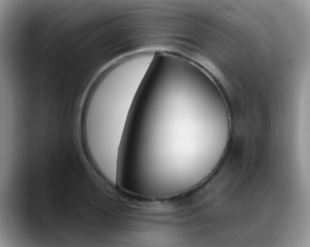 X0000089390980200706150928