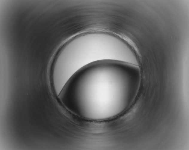 X0000089390981200706150928