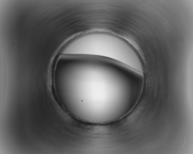 X0000089390984200706150928