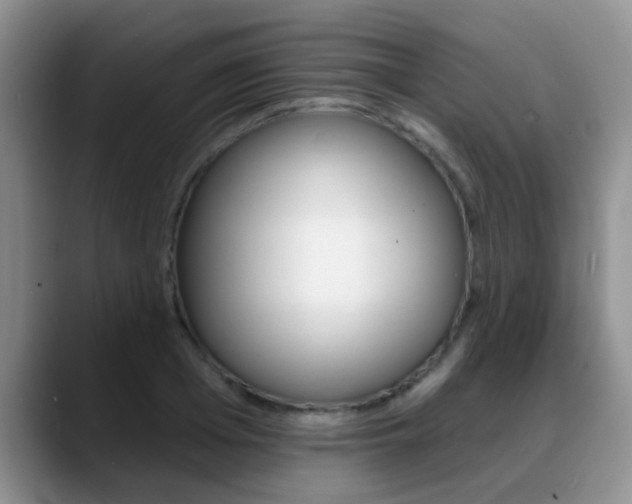 X0000089390985200706150928
