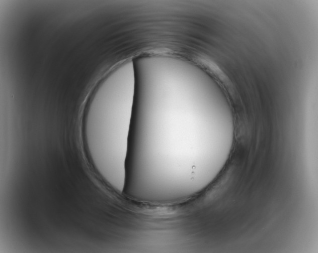 X0000089390986200706150928