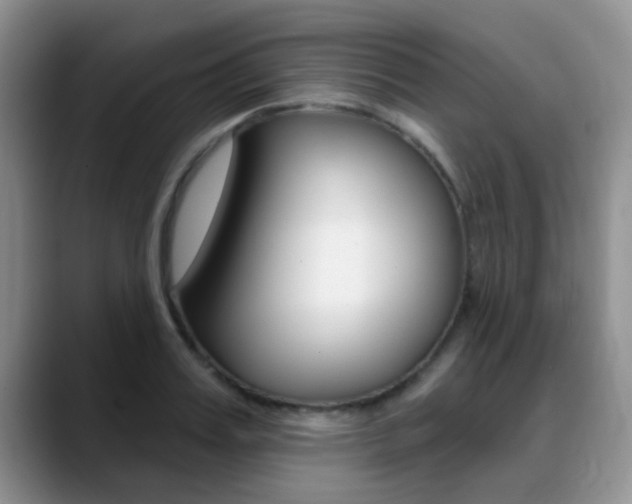 X0000089390987200706150928