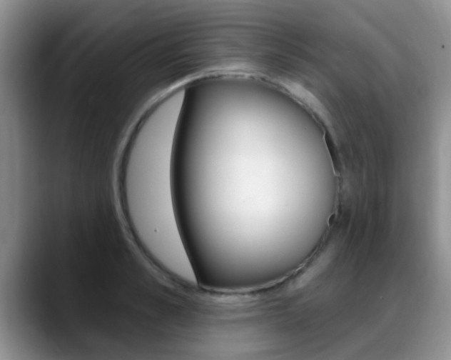 X0000089390989200706150928