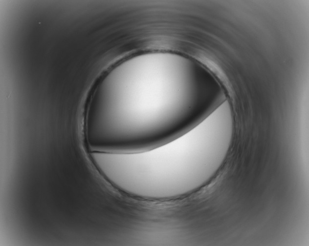 X0000089390992200706150928