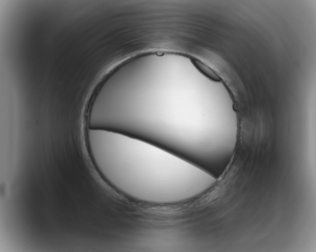 X0000089390998200706150927