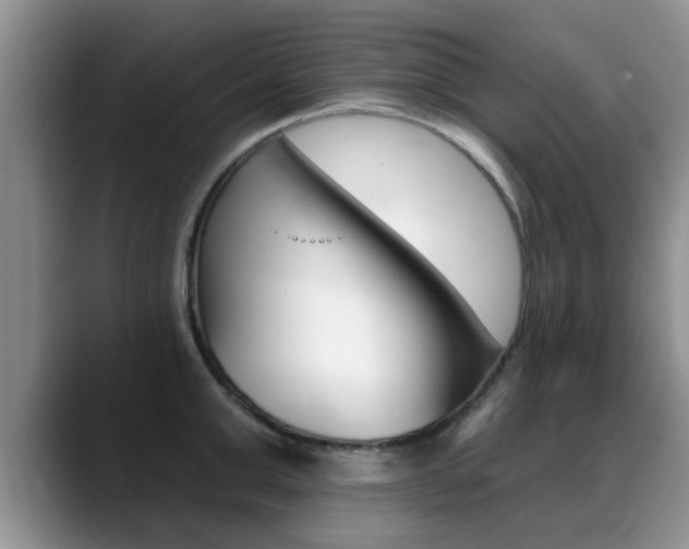 X0000089390999200706150927
