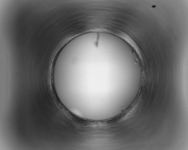 X0000089391002200706150927