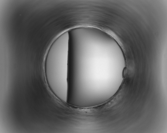 X0000089391004200706150927