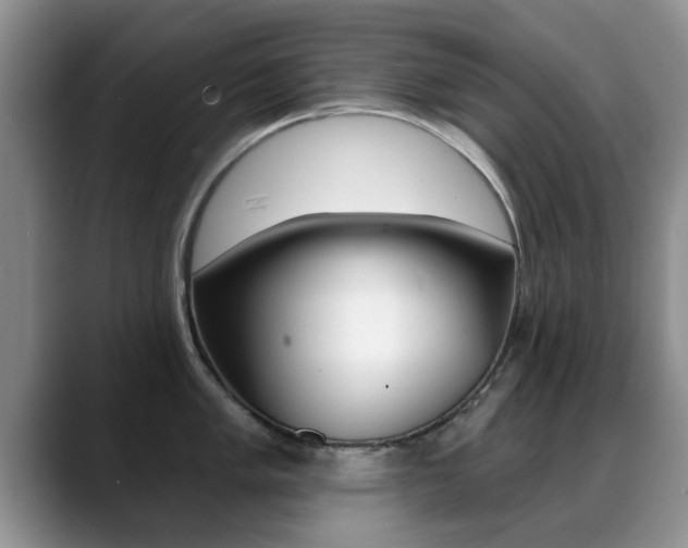 X0000089391005200706150927
