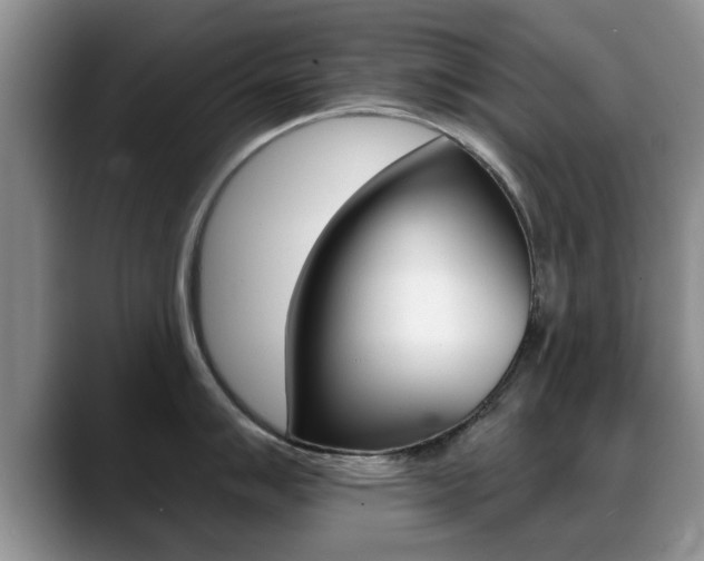 X0000089391007200706150927