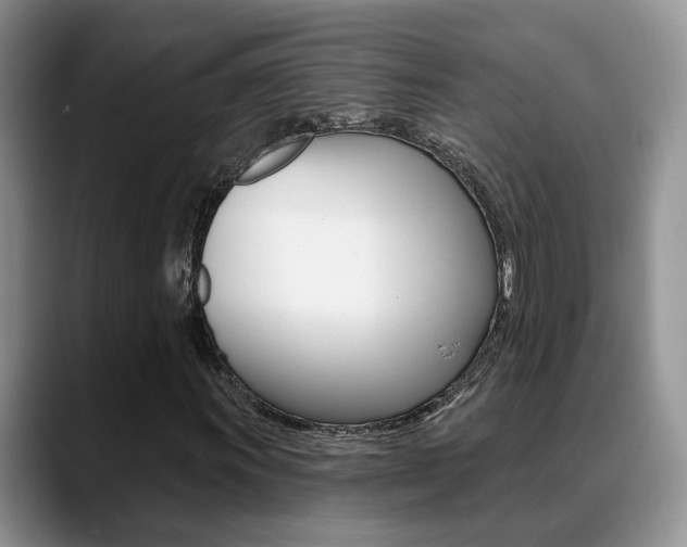 X0000089391011200706150927