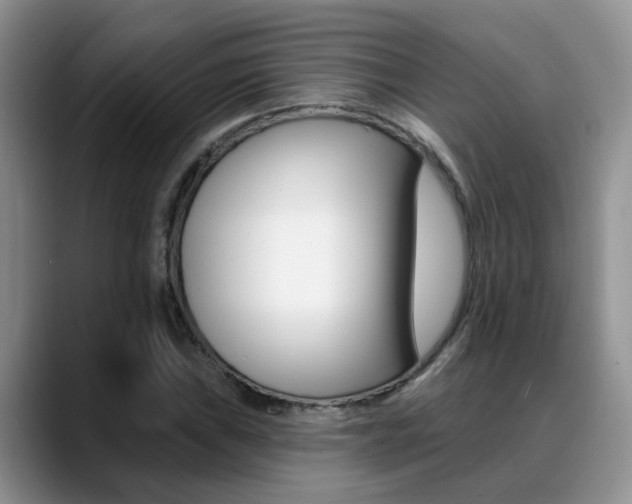 X0000089391019200706150927