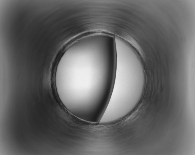 X0000089391020200706150927